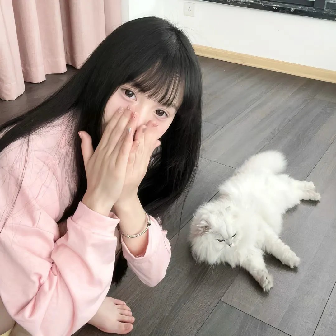 东北猛兽封面